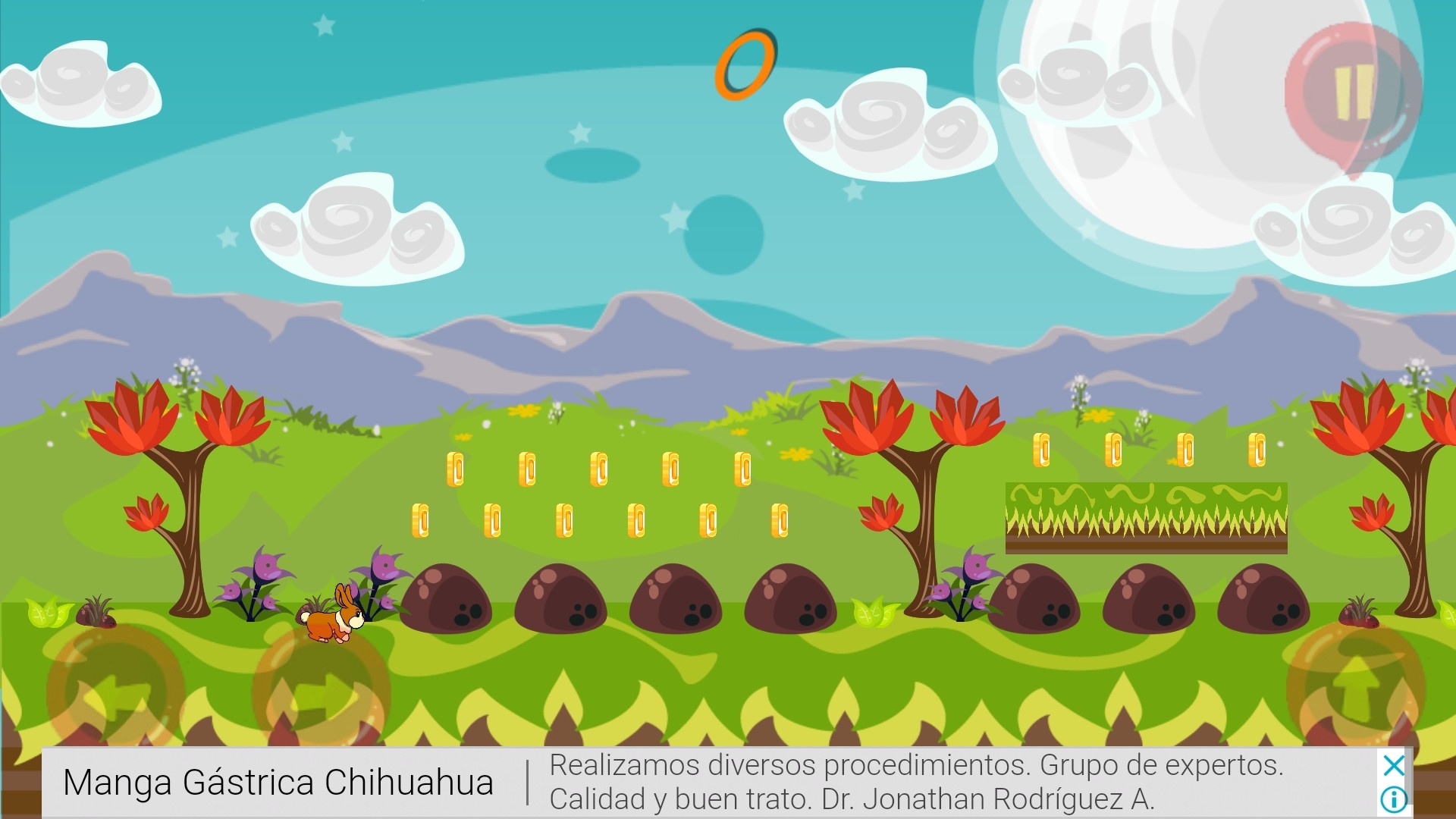 Rabbit Adventure (itch) - кадр 2
