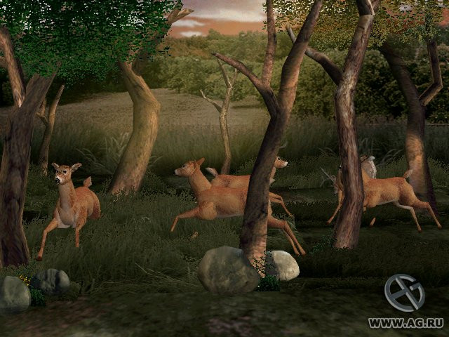 Big Buck Hunter - кадр 7