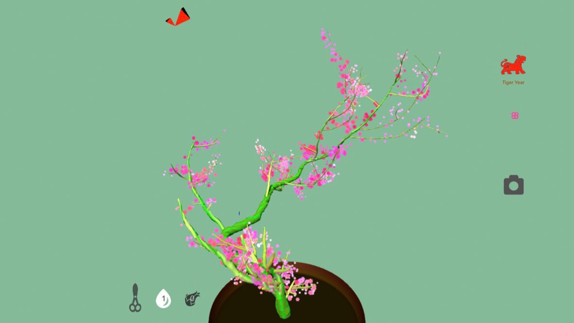 Tree.Bonsai - кадр 5
