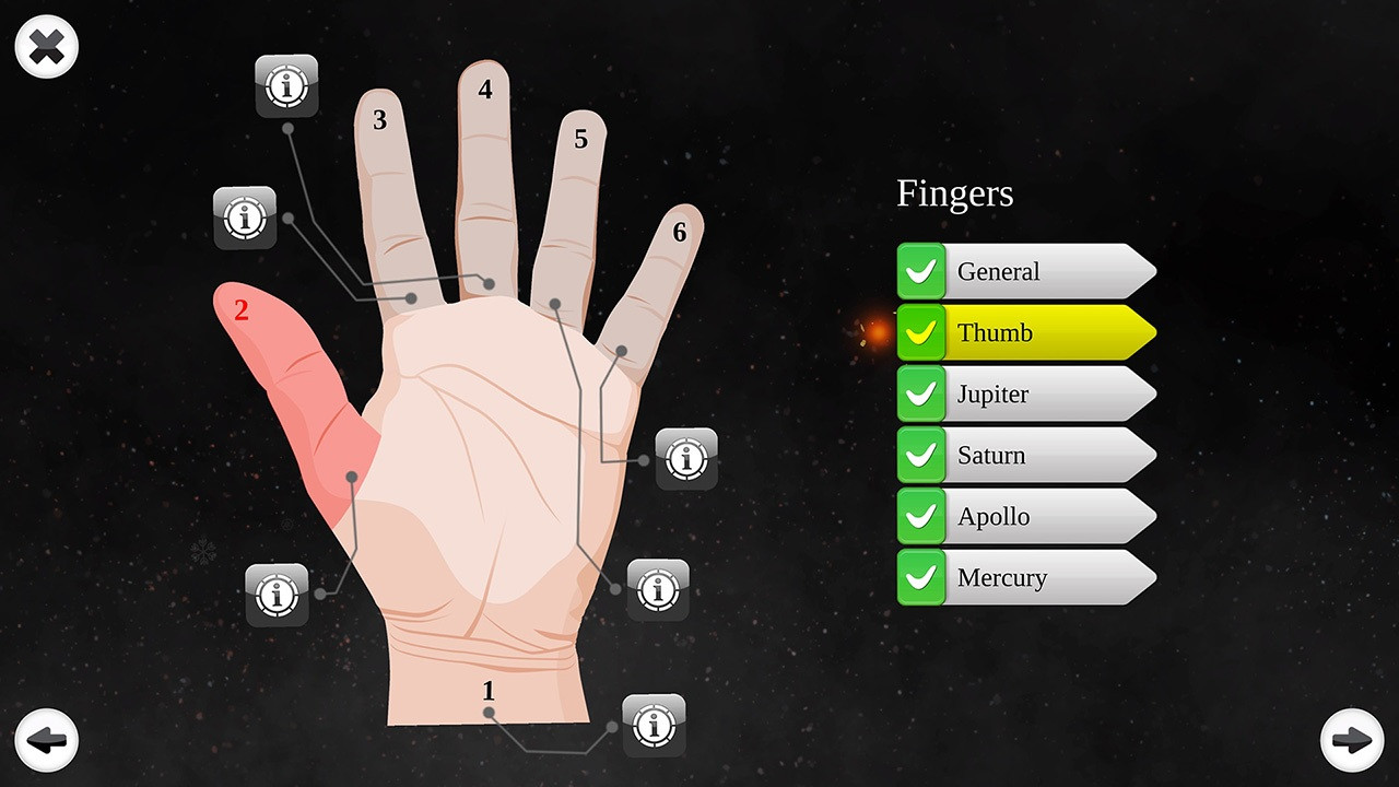 Palm Reading Premium - кадр 4