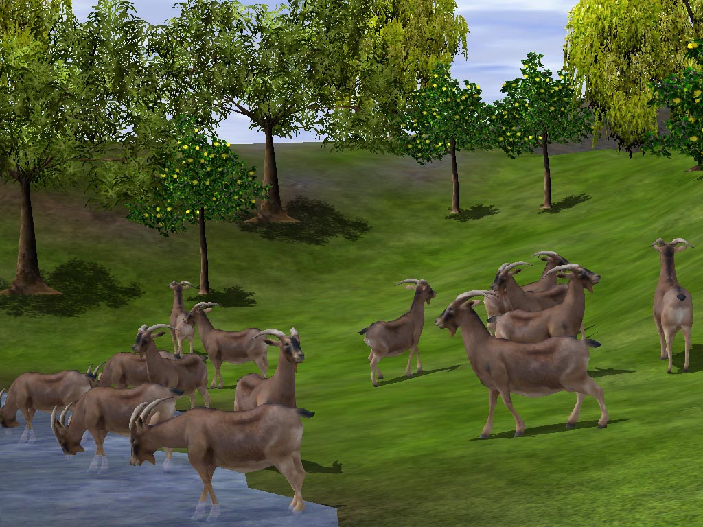 Wildlife Park 2: Crazy Zoo - кадр 7