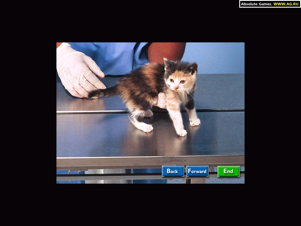 VET Emergency - кадр 4