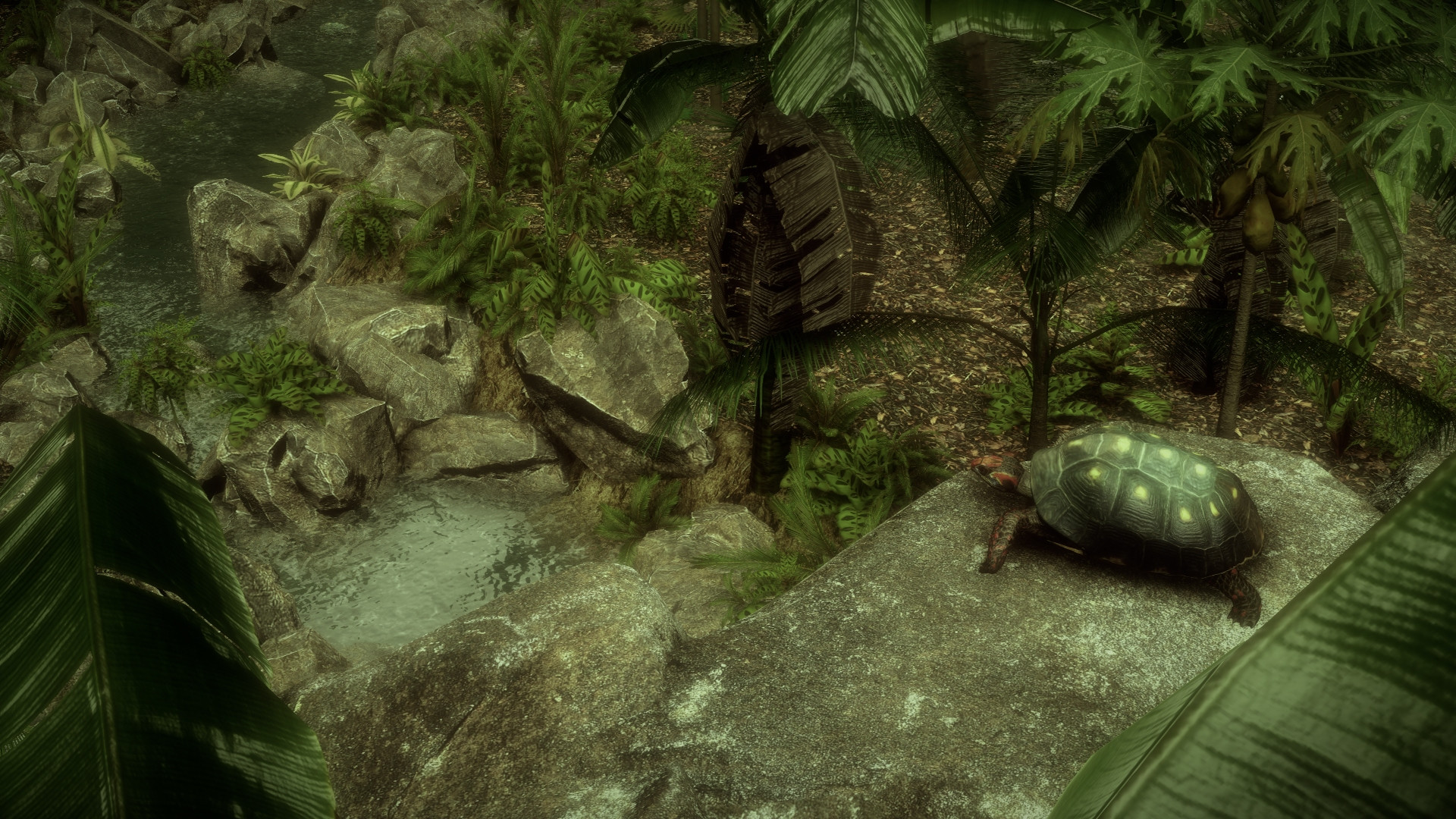The Red-Footed Tortoise (itch) - кадр 2