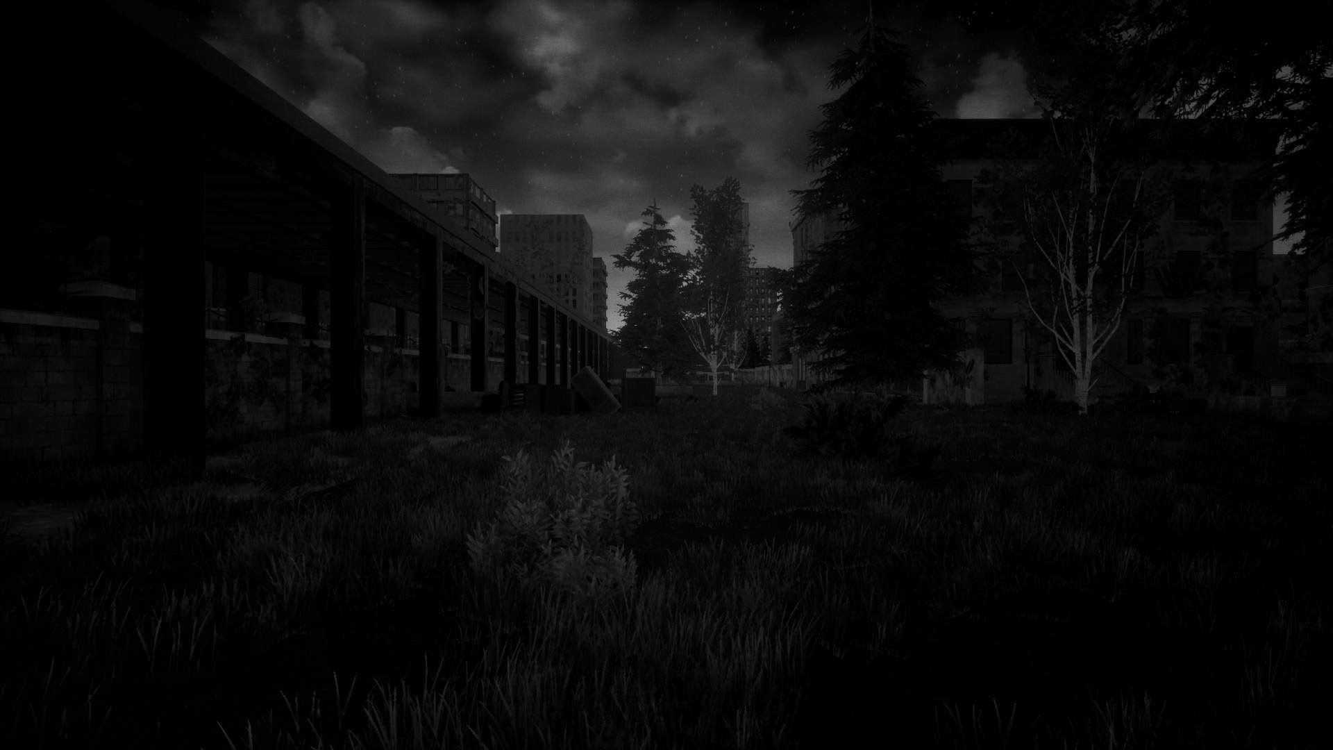 Behind the Memory - кадр 3