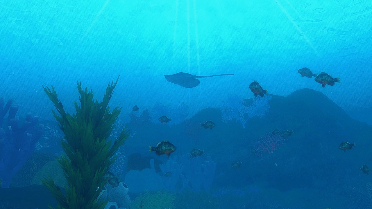 Ocean's Treasures - кадр 6