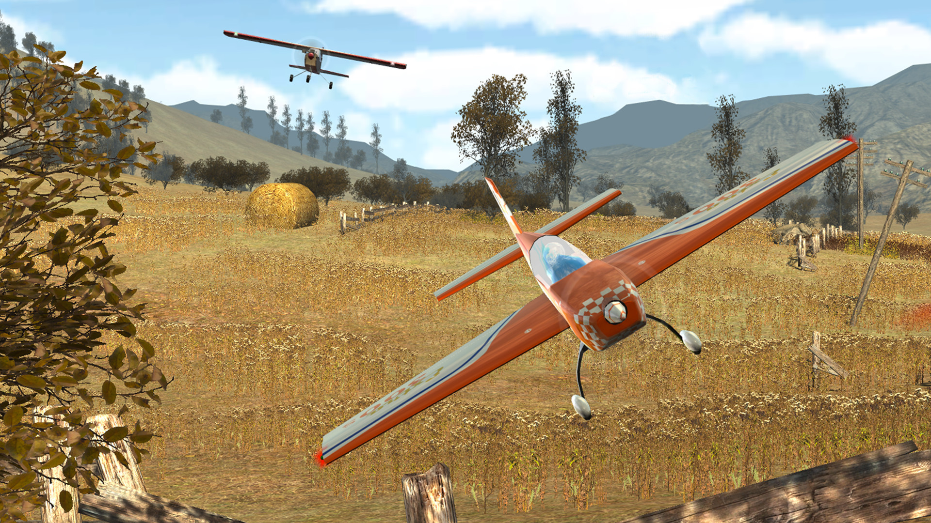 Real RC Flight Simulator - кадр 4