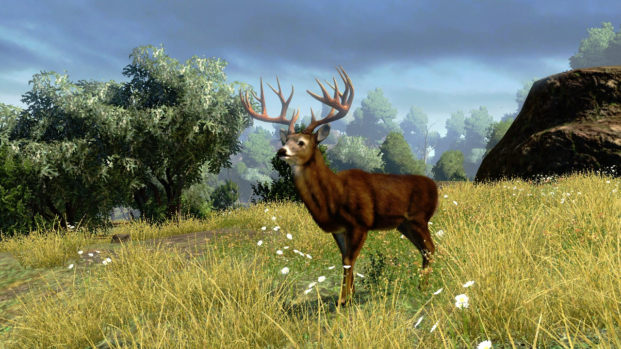 Cabela's Outdoor Adventures - кадр 3