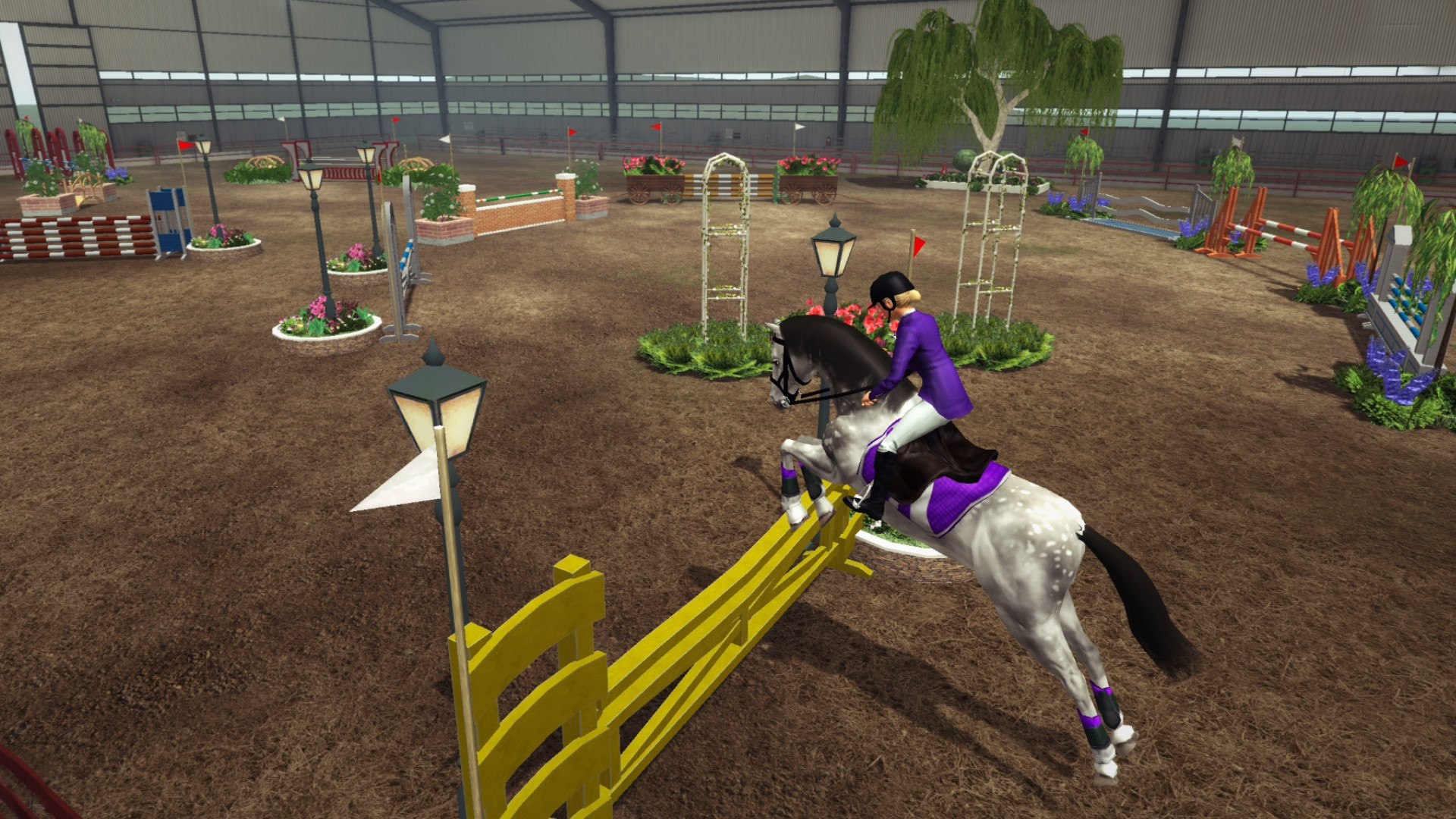 Riding Club Championships - кадр 5