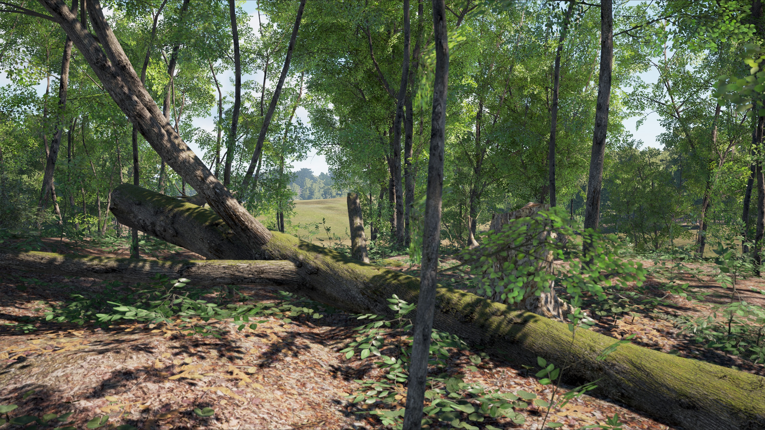 SCUM - кадр 5