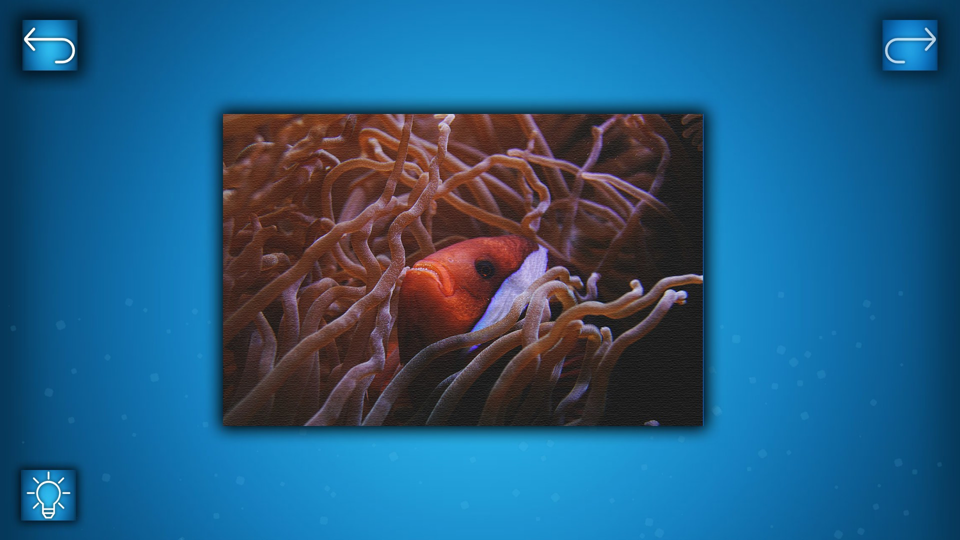 PUZZLE: OCEAN - кадр 3