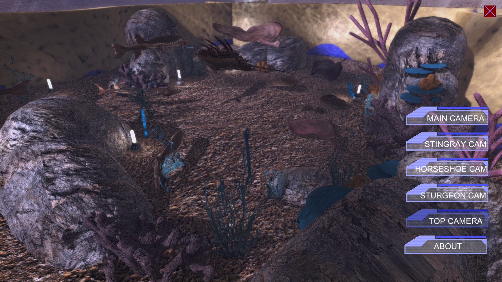 Virtual Aquarium (Discovery World Touch Tank) (itch) - кадр 2