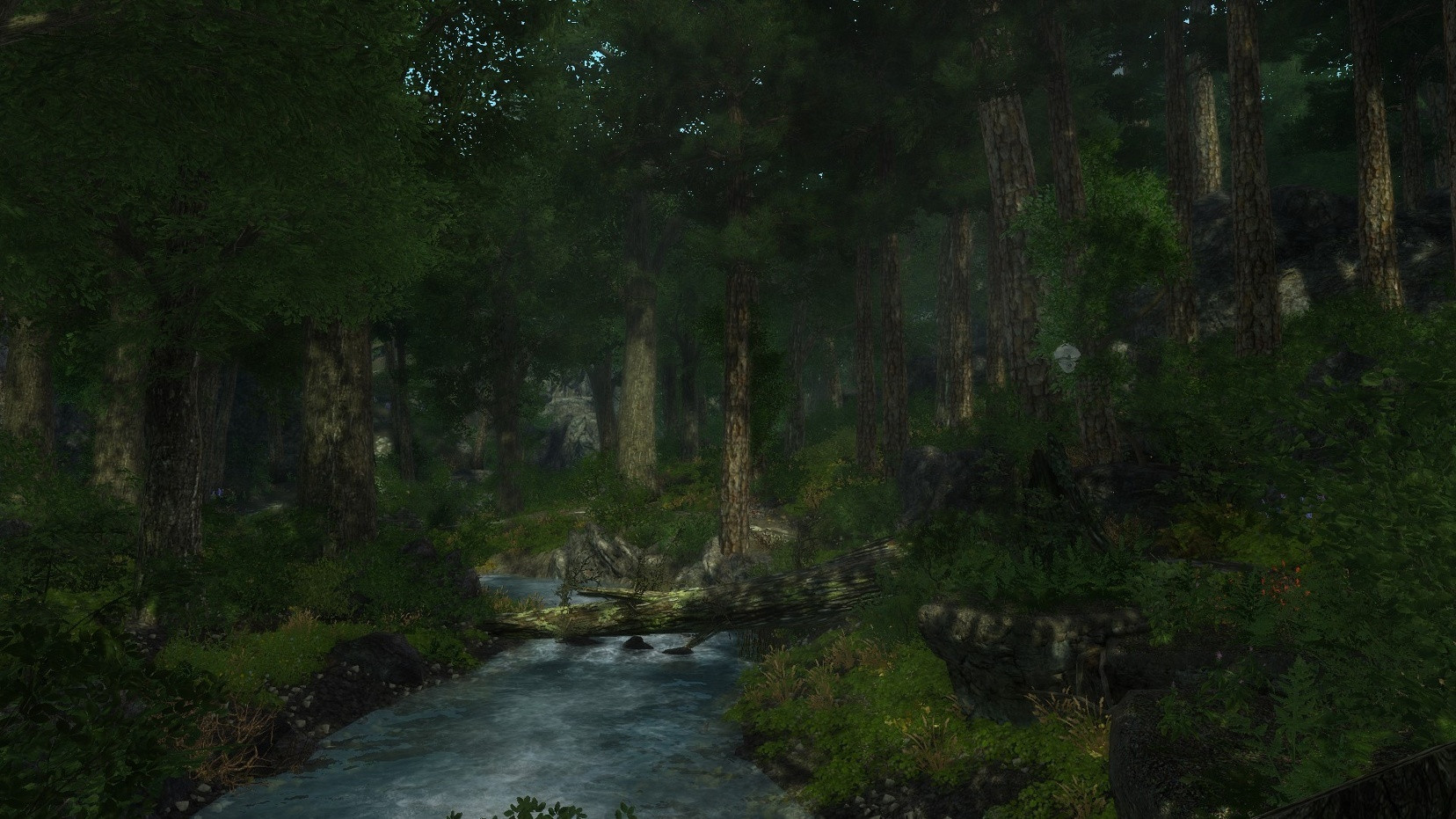 Enderal: Forgotten Stories - кадр 4