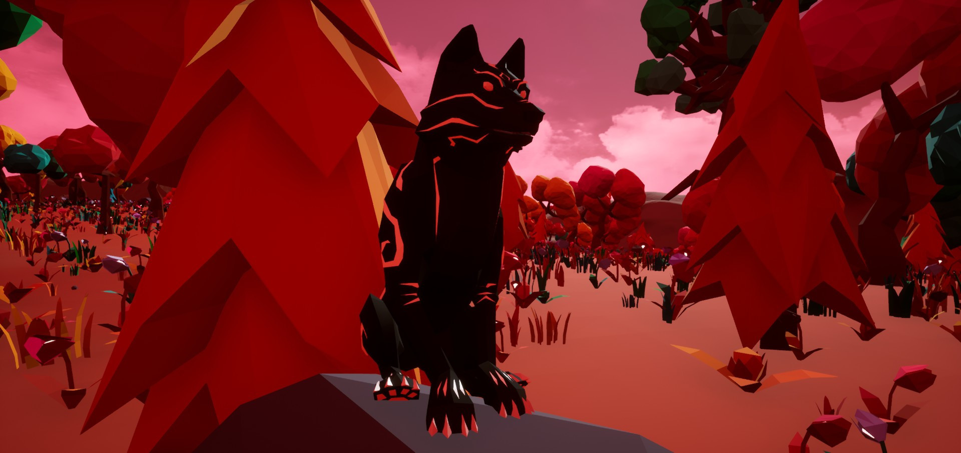 Paws and Soul - кадр 3