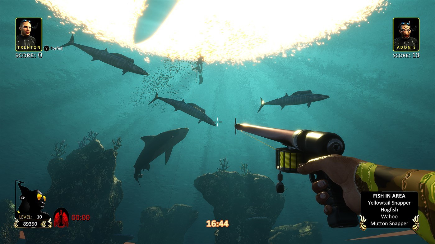Freediving Hunter: Spearfishing the World - кадр 12