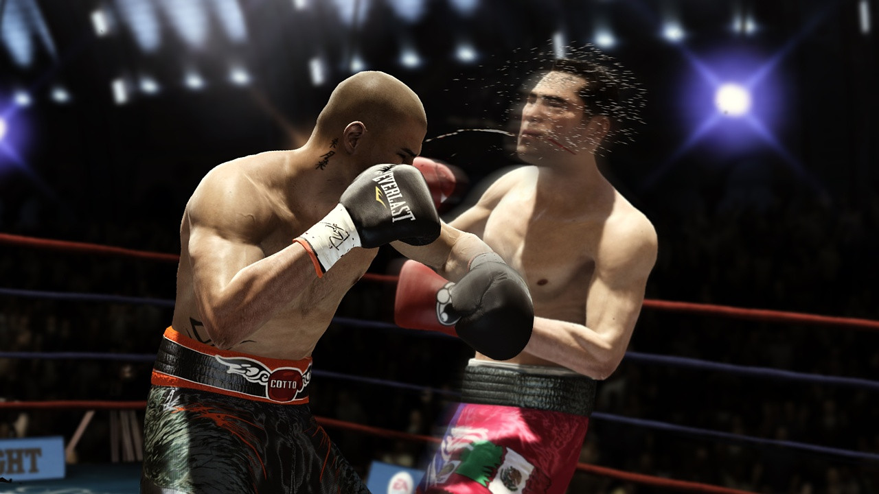 FIGHT NIGHT CHAMPION - кадр 8
