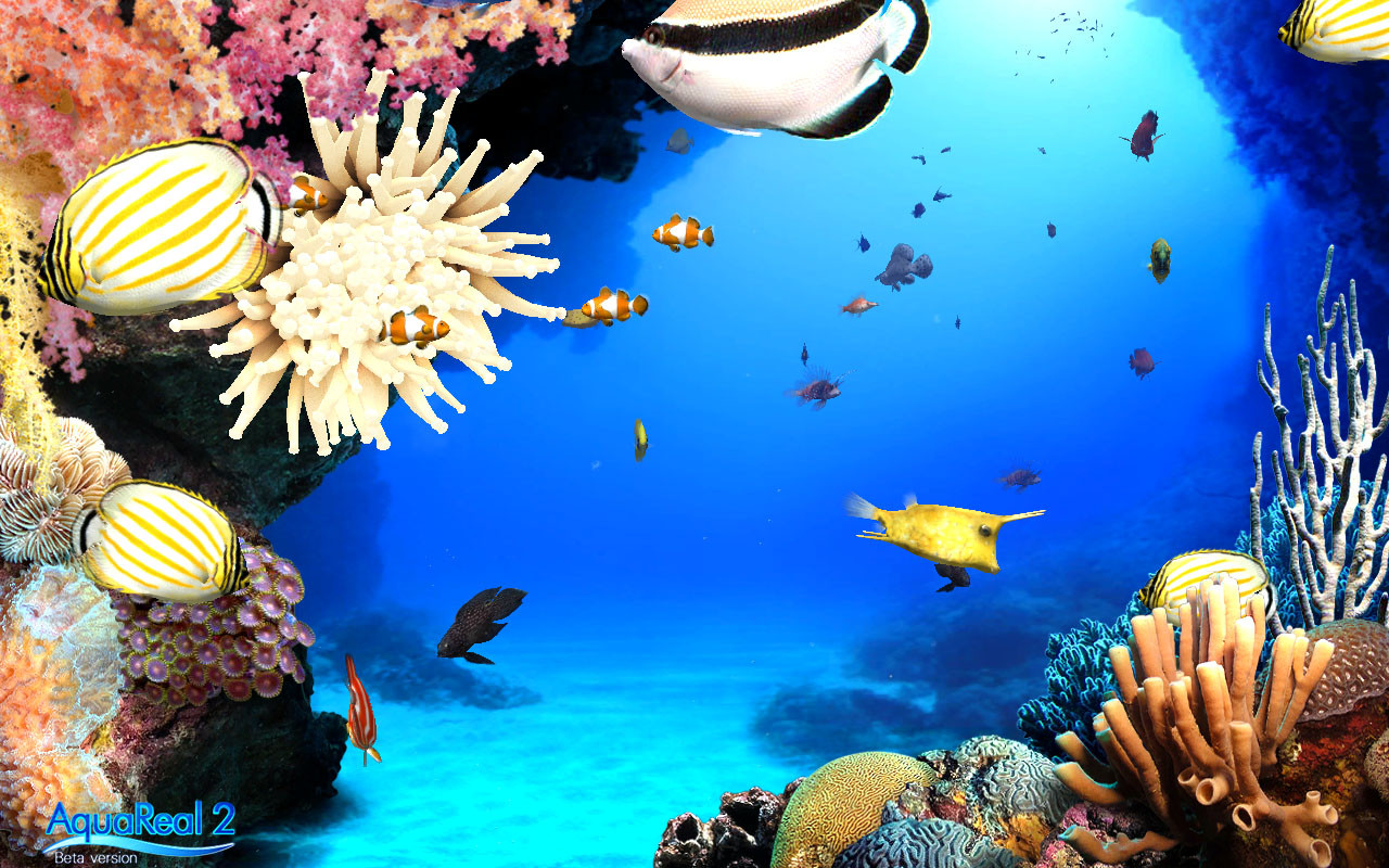 DigiFish Aqua Real 2 - кадр 3