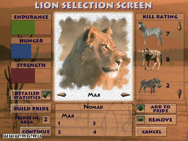 Lion - кадр 1