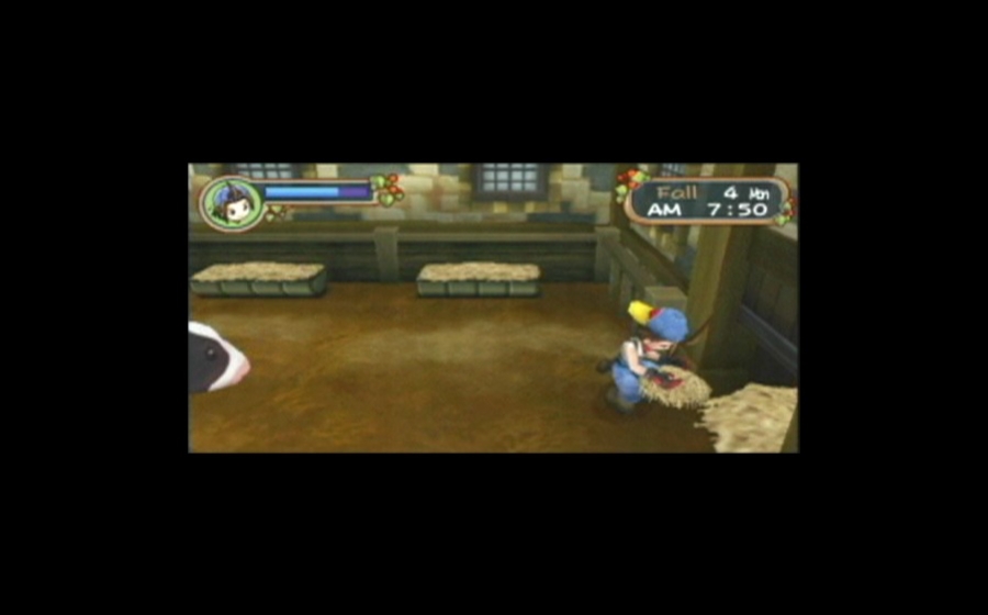 Harvest Moon: Hero of Leaf Valley - кадр 9