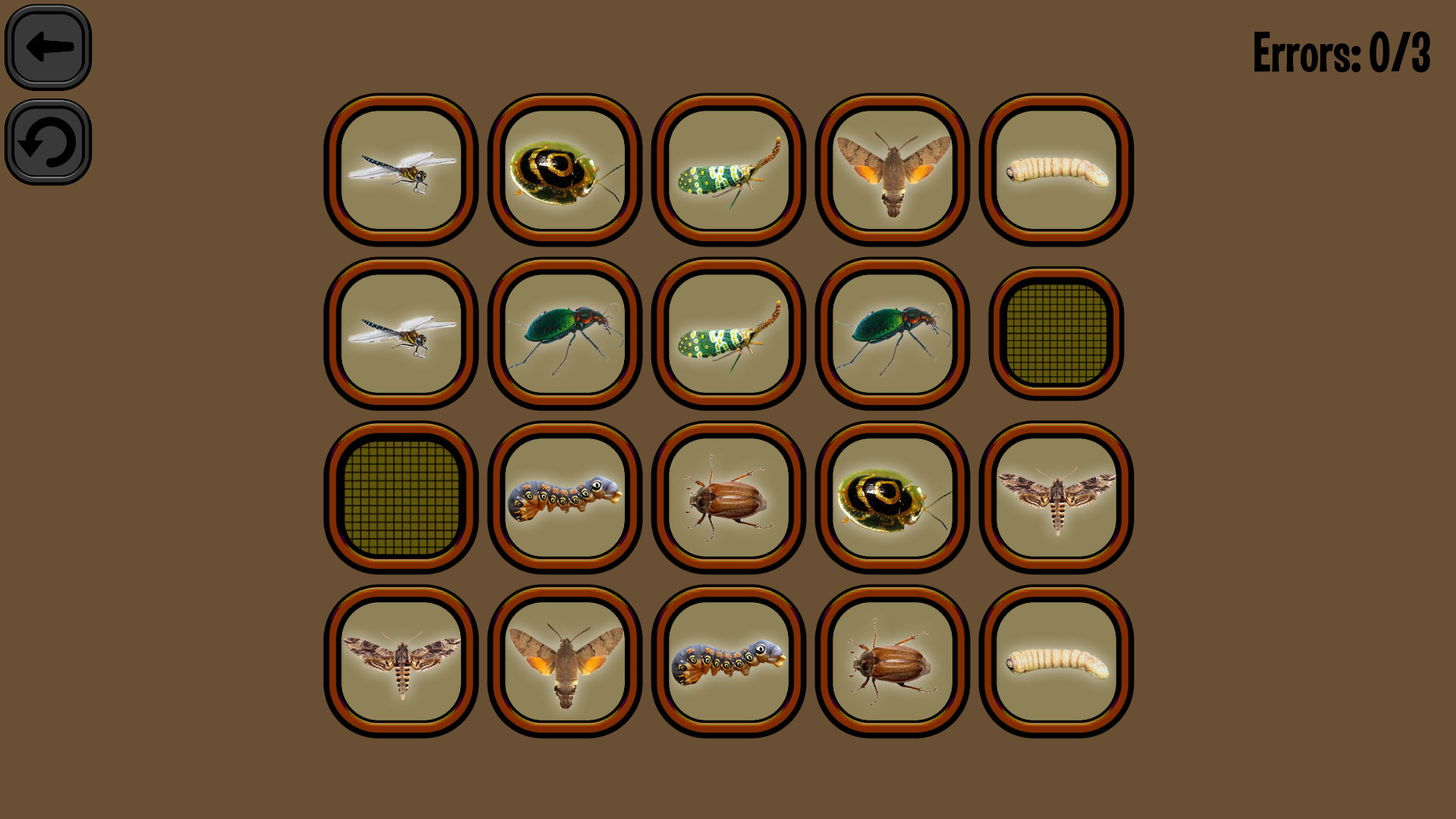 Animals Memory: Insect - кадр 4