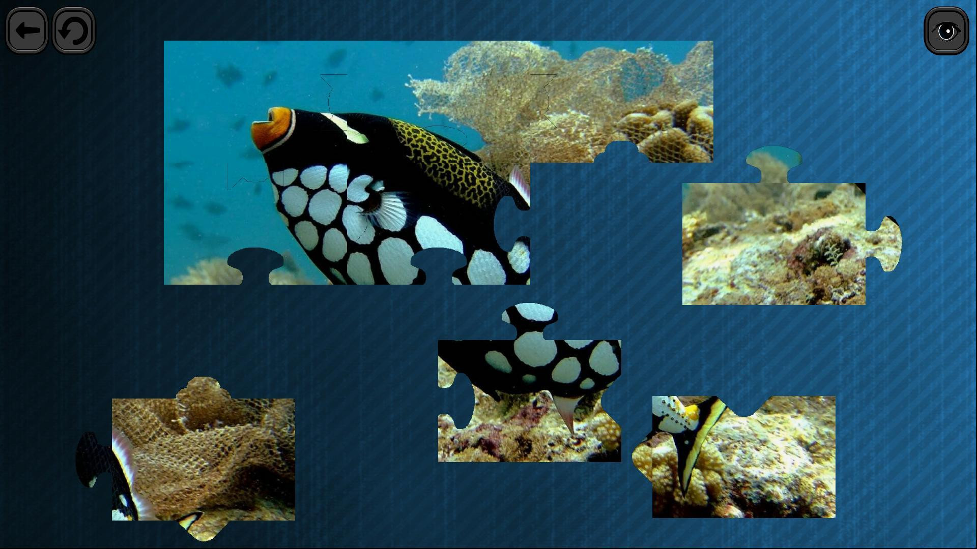 Puzzles for smart: Underwater Kingdom - кадр 2