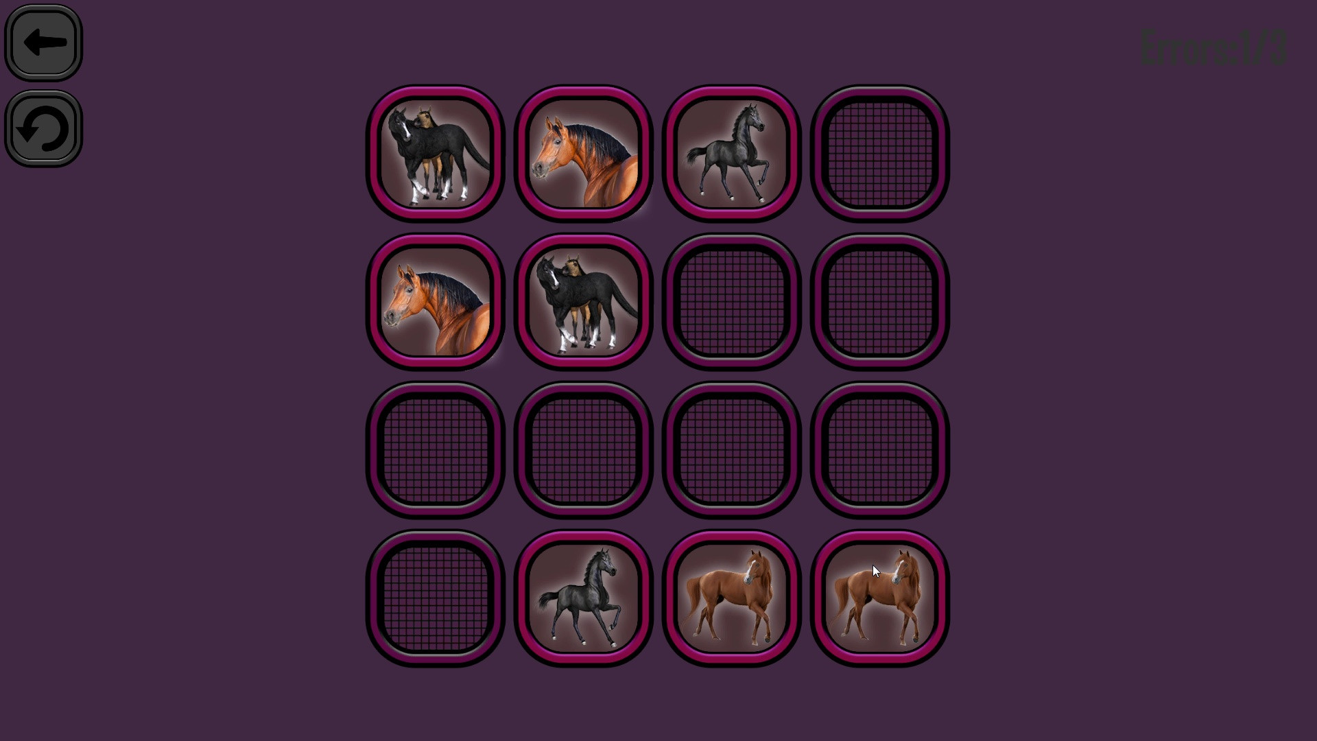 Animals Memory: Horses - кадр 1