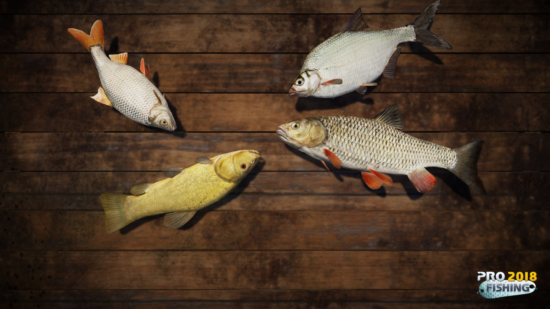 PRO FISHING 2018 - кадр 5
