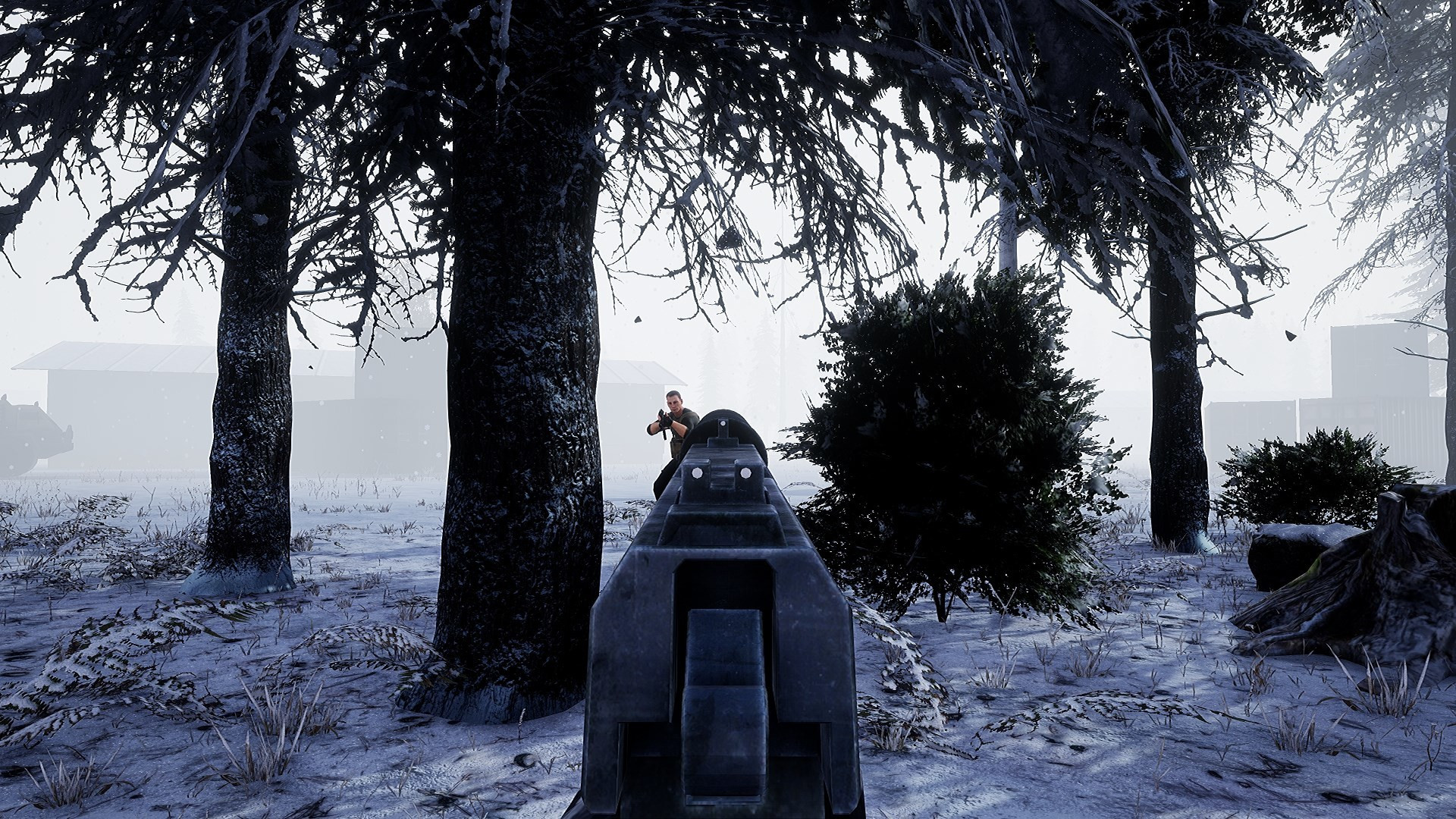 Beyond Enemy Lines: Operation Arctic Hawk - кадр 3