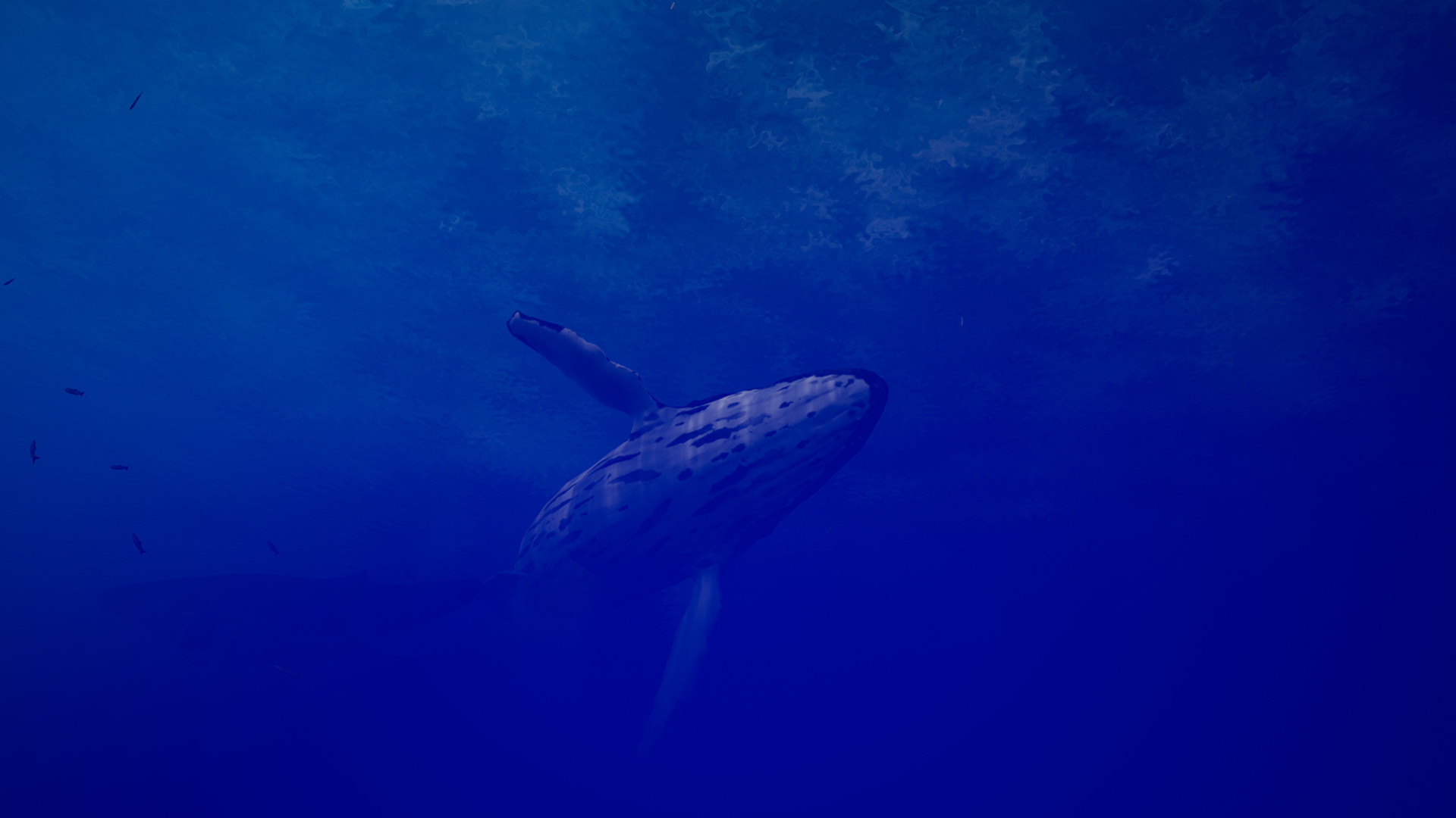 Call of the Ocean - кадр 2