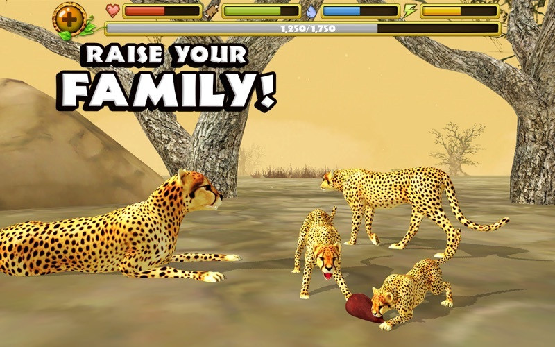 Cheetah Simulator - кадр 3