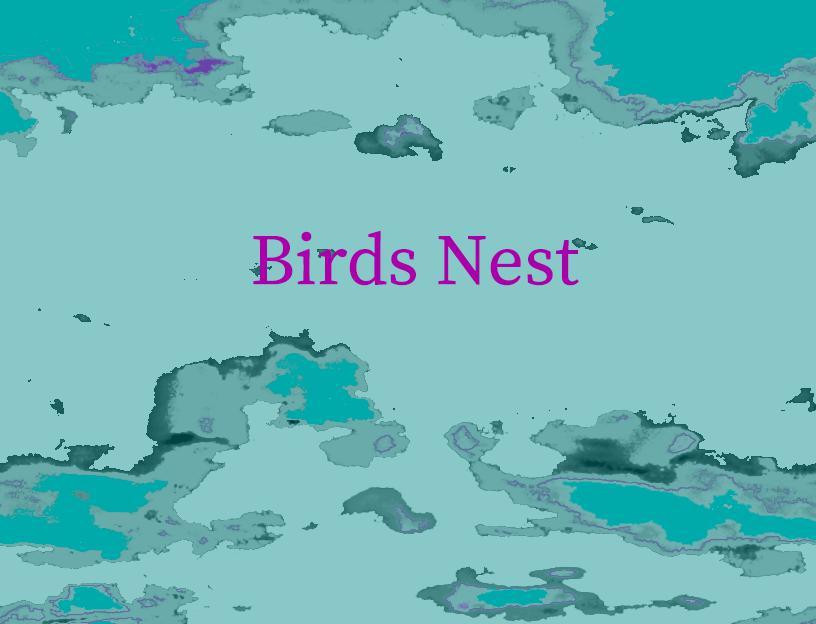 Birds Nest (itch) - кадр 1