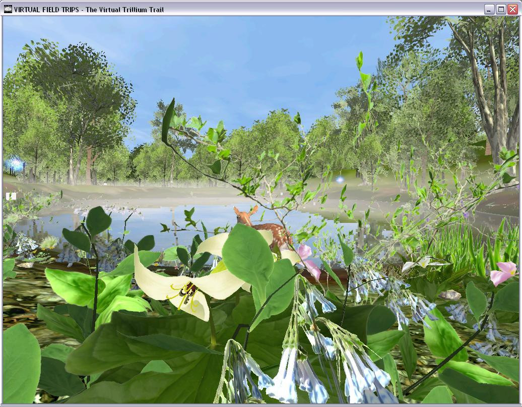 The Virtual Trillium Trail v. 2.0.4 (itch) - кадр 3