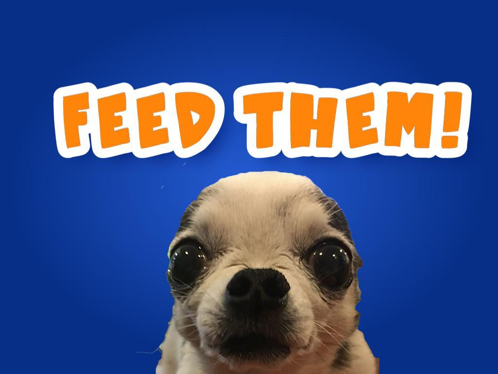 Feed Them (itch) - кадр 1