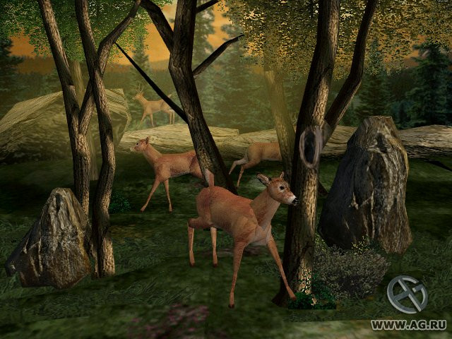 Big Buck Hunter - кадр 10