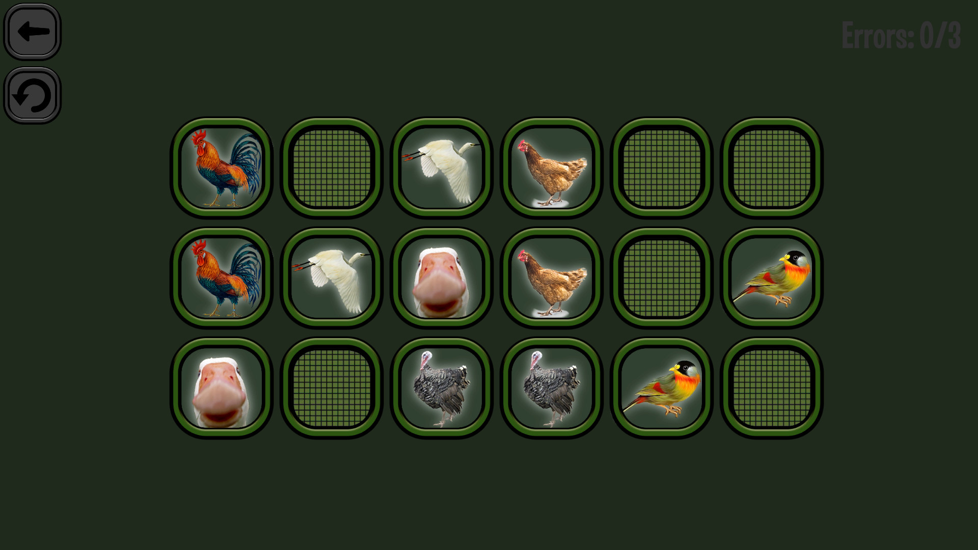 Animals Memory: Birds - кадр 2