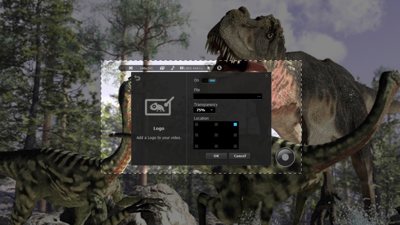 liteCam HD 5.0: Screen/Stream Capture - кадр 3