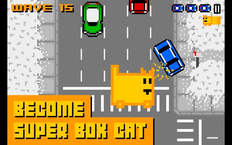 Box Cat - кадр 4