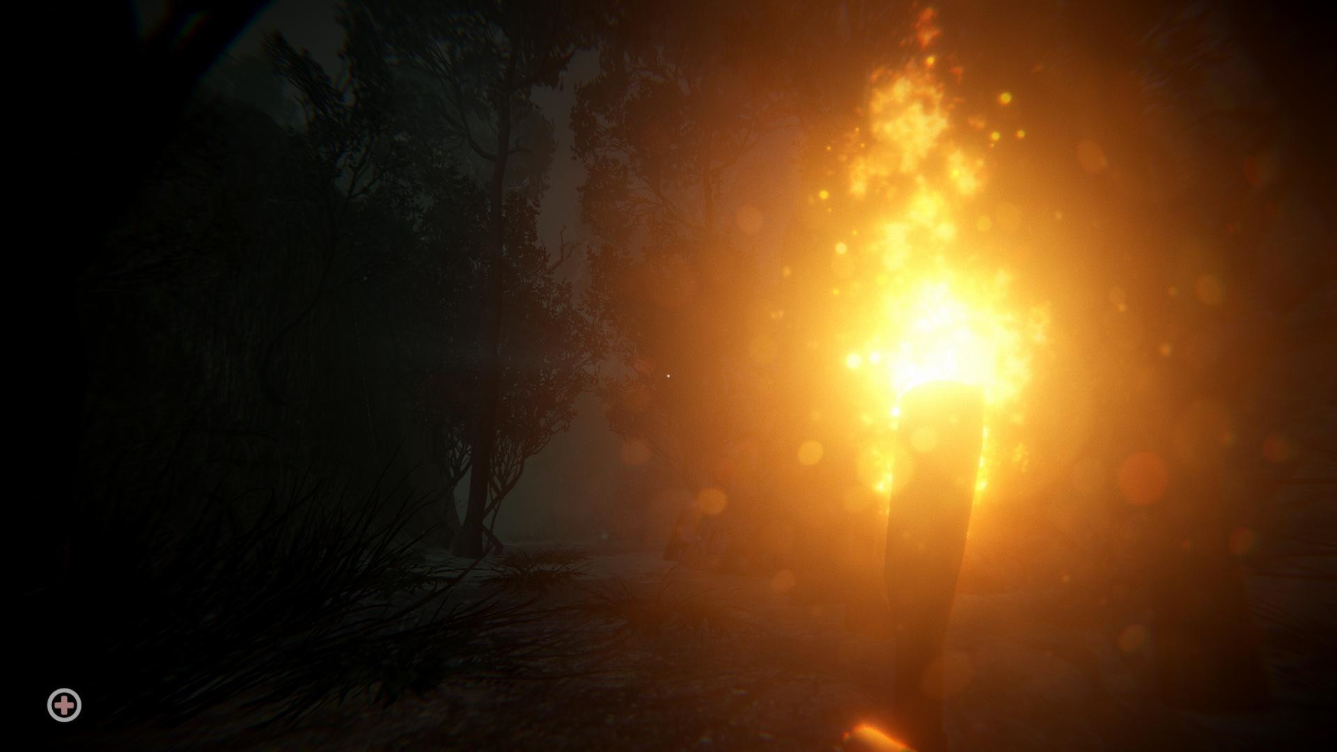 Darkwood 3D (itch) - кадр 5
