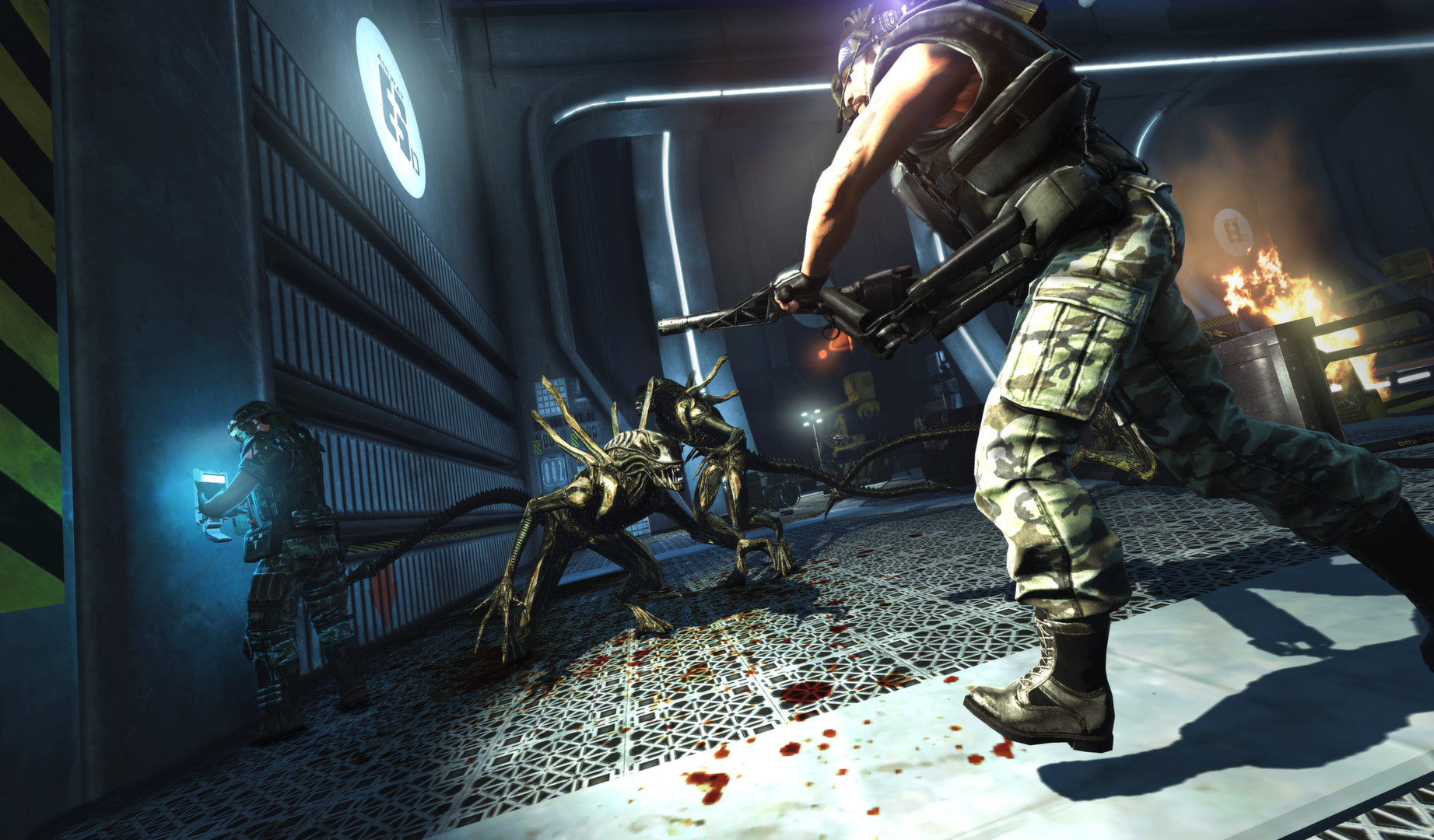 Aliens: Colonial Marines Collection - кадр 3