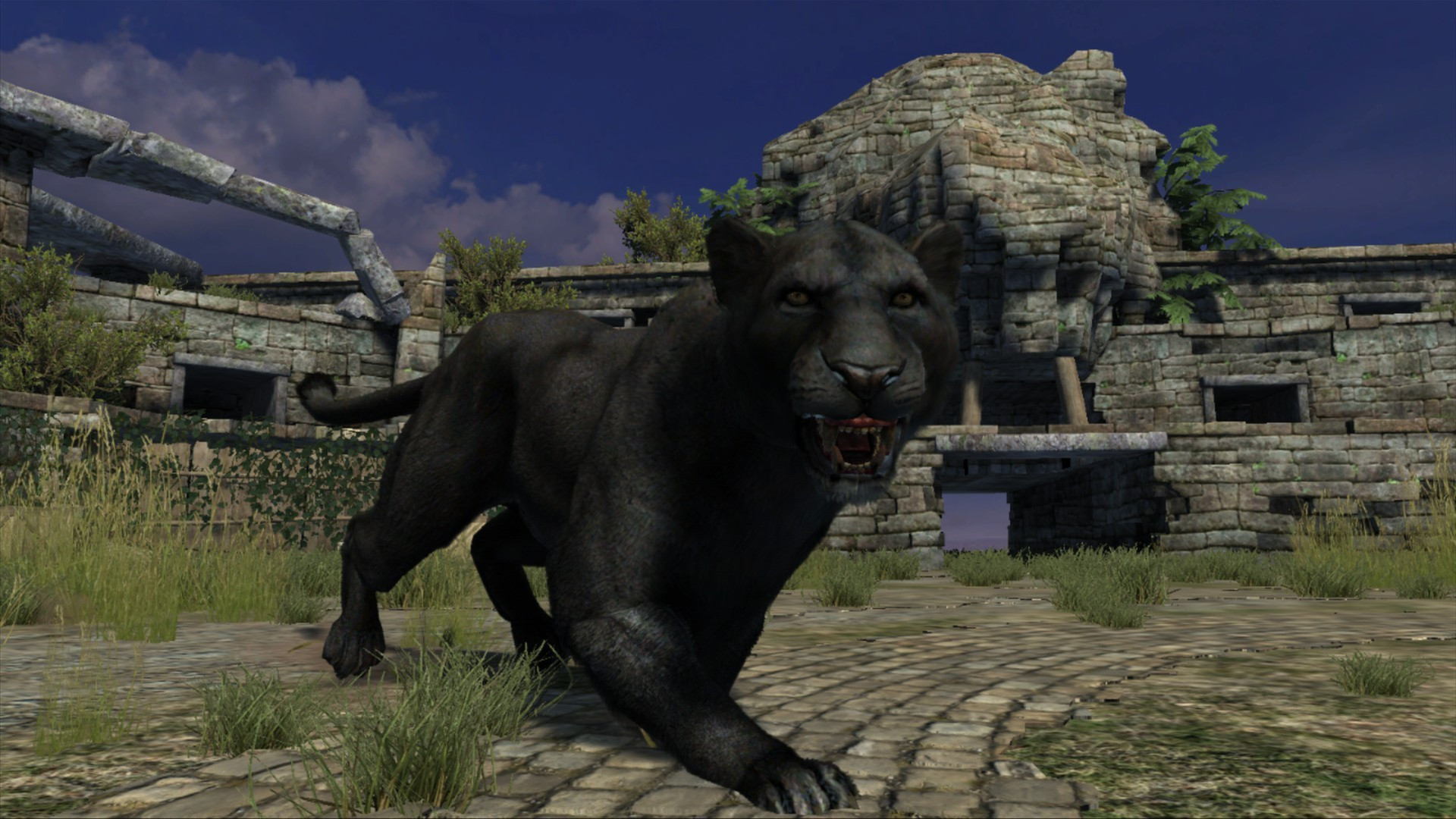 Cabela's Dangerous Hunts 2013 - кадр 7