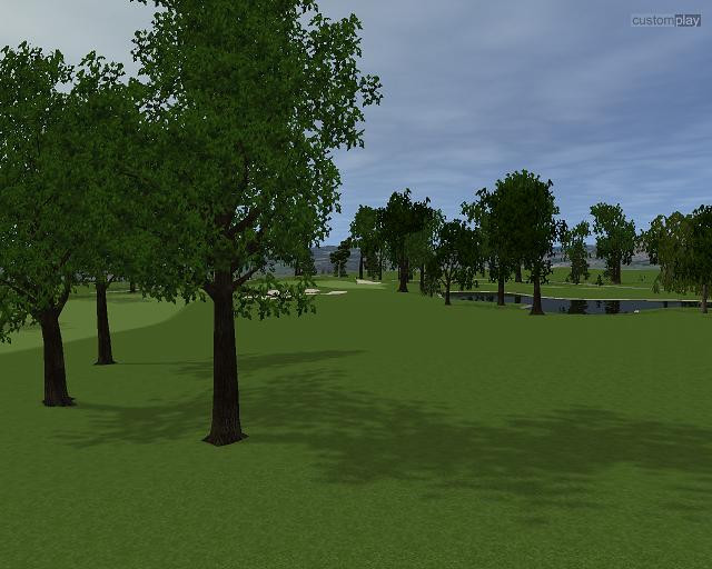 CustomPlay Golf - кадр 11