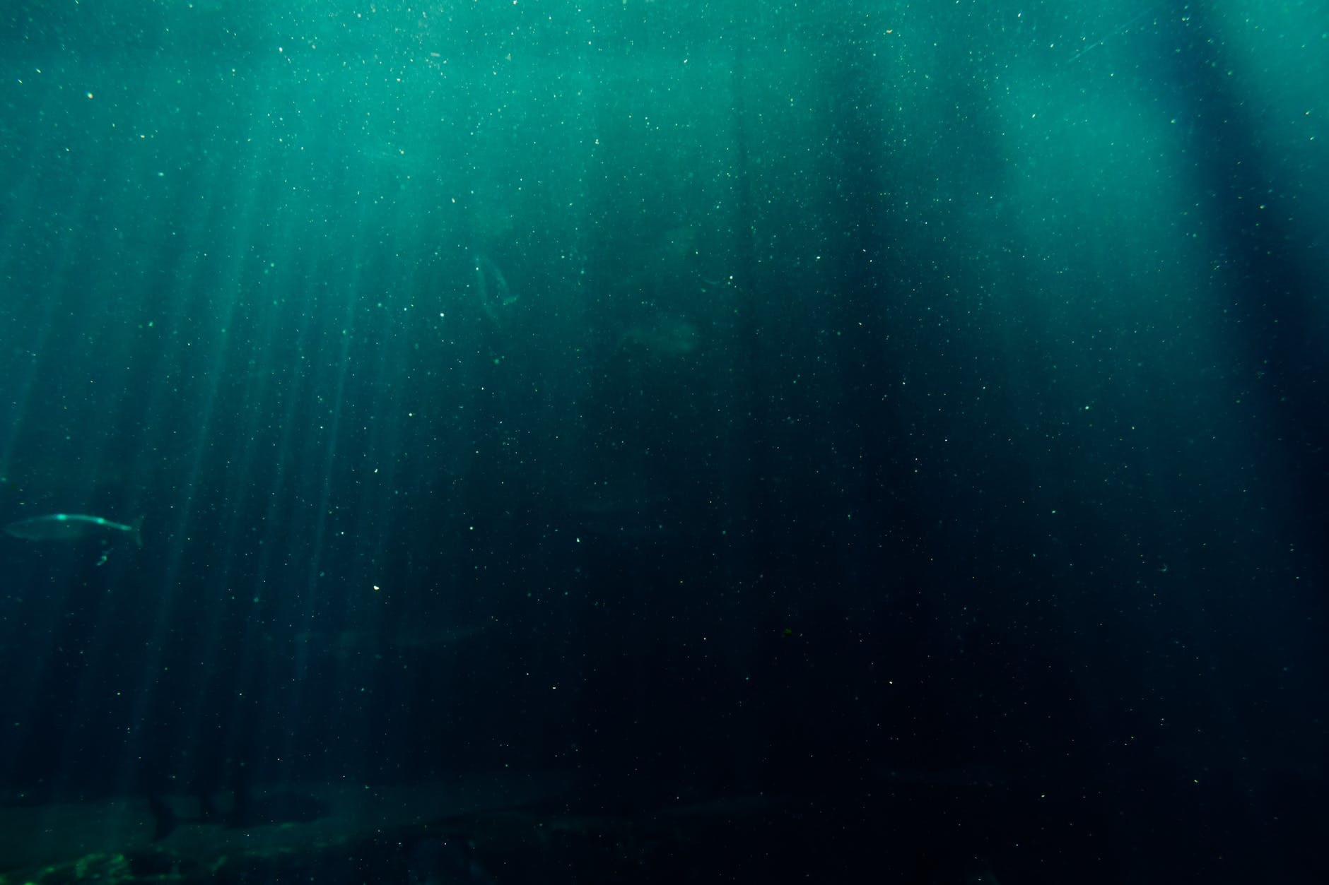 Deepsea Dive (itch) - кадр 1