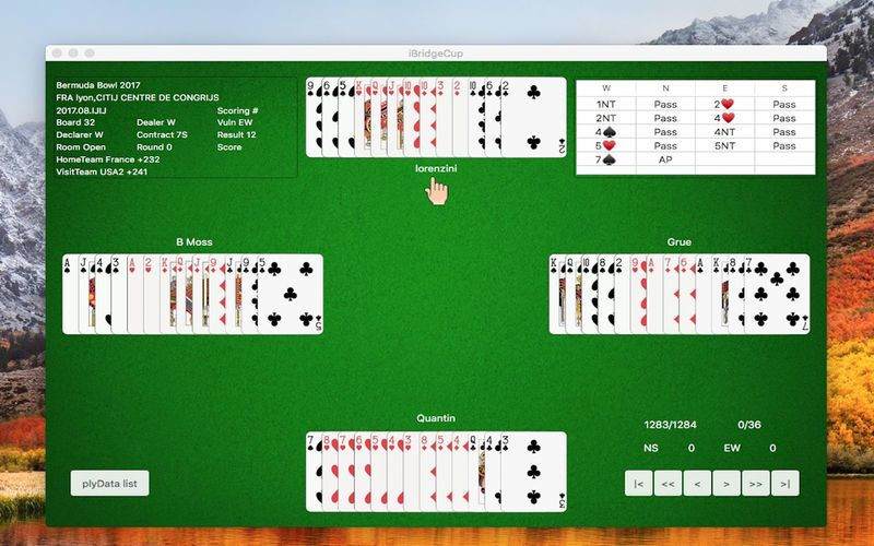 iBridgeCup - кадр 2