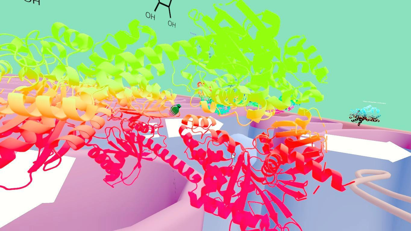 Glycolysis pathway (itch) - кадр 2