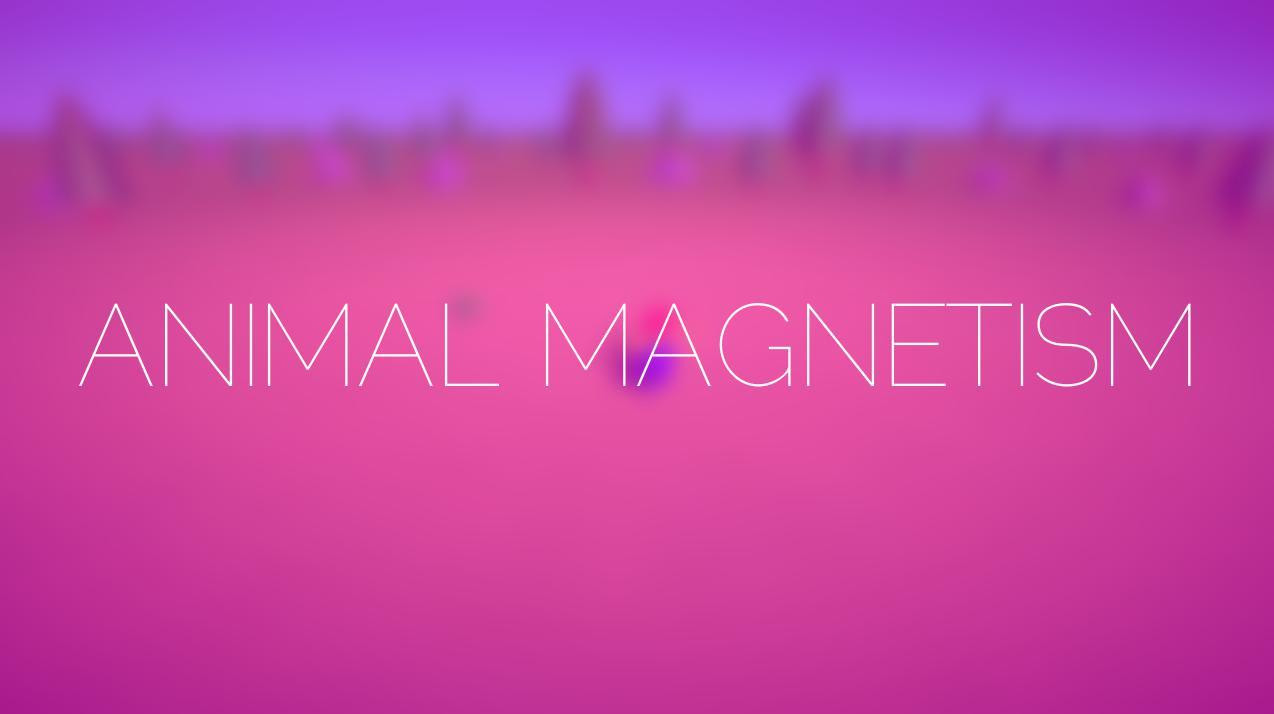 ANIMAL MAGNETISM (itch) - кадр 1