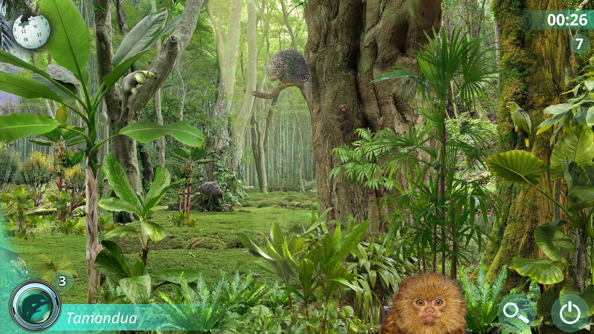 Hidden Animals: Photo Hunt. Seek and Find Game - кадр 3