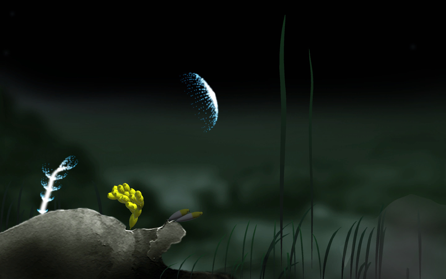 Jellyfish - кадр 4