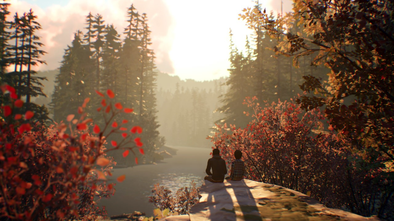 Life is Strange 2 - Episode 1 - кадр 5
