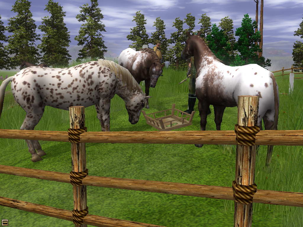 Wildlife Park 2: Horses - кадр 6