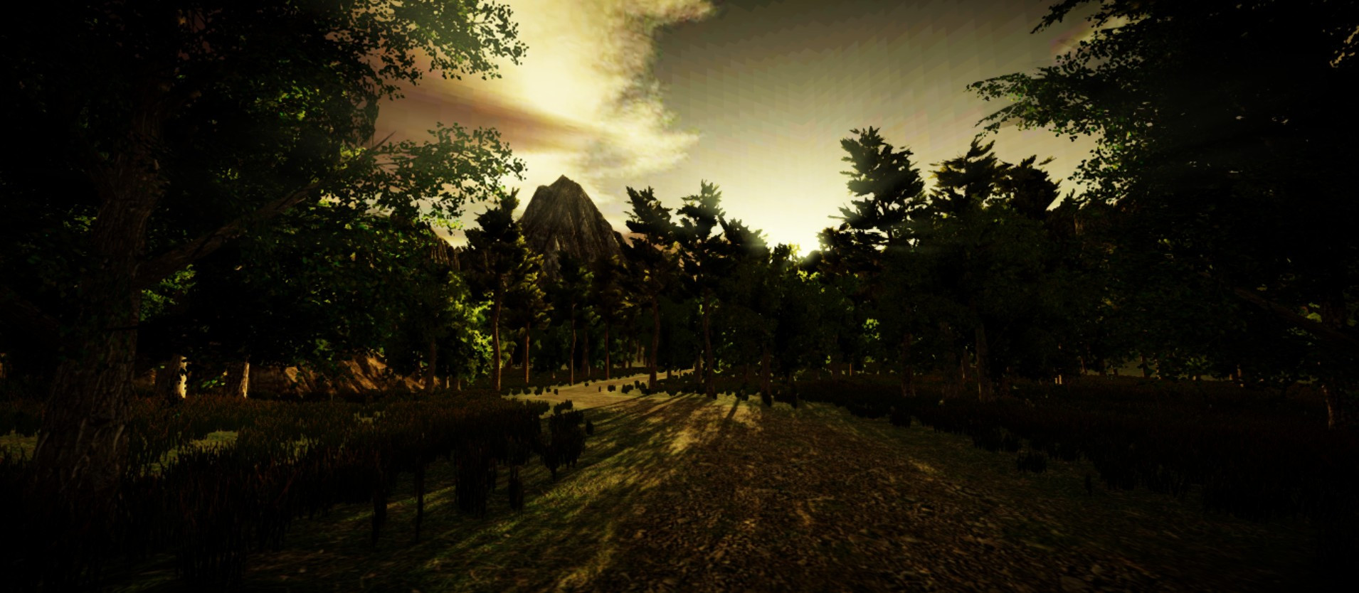 The Secrets of The Forest - кадр 5
