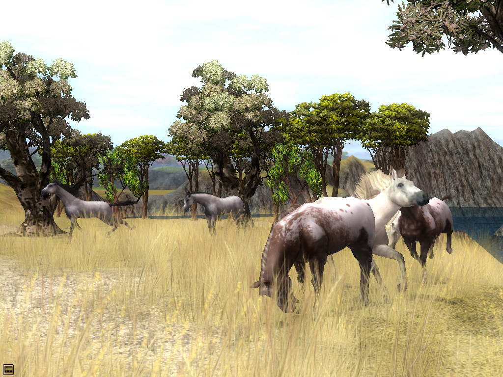 Wildlife Park 2: Horses - кадр 7